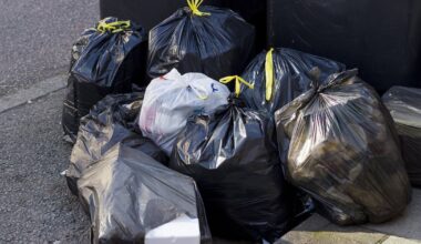 Dublin streets to be bin-bag free after council action on plastic refuse sacks – The Irish Times