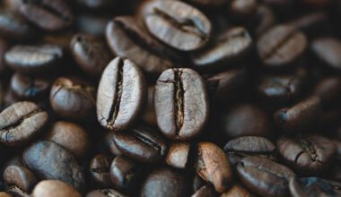 Indian Coffee Market Update: Arabica Gains, Robusta Weakens as Exports Near 3 Lakh Tonnes