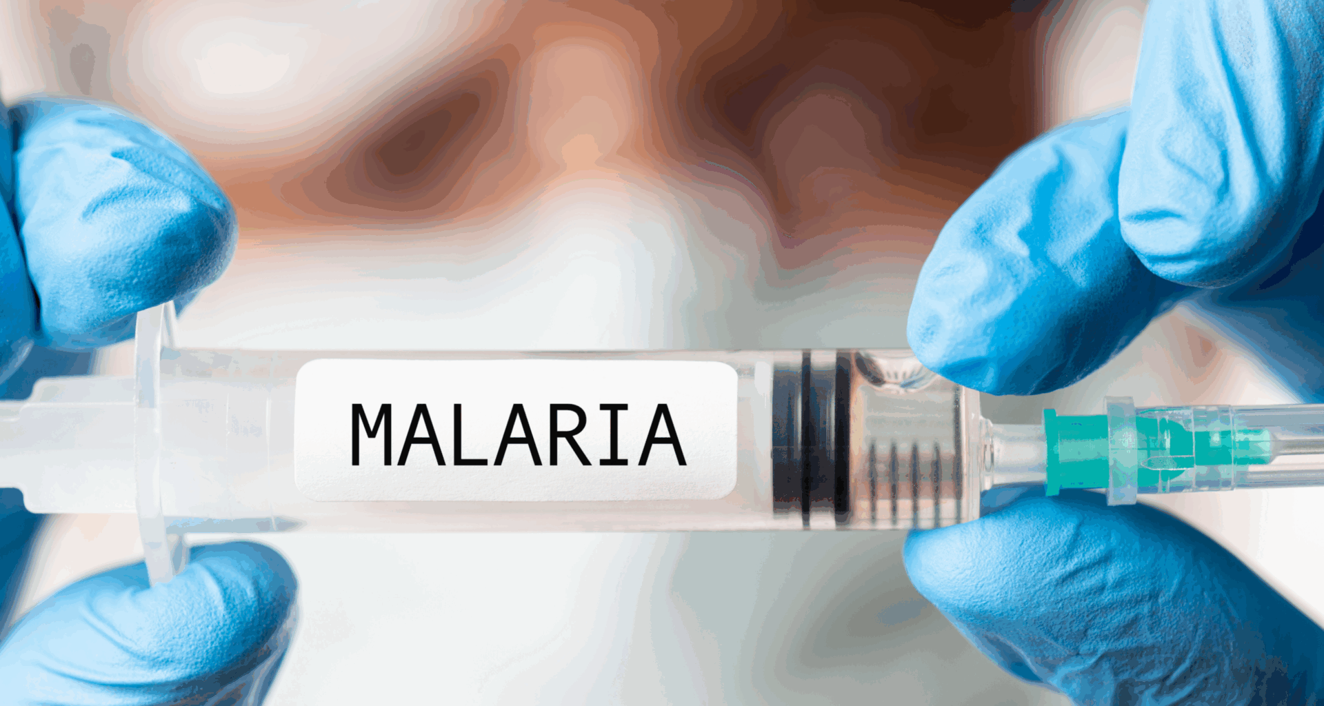 The economic impact of us funding for malaria