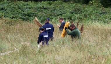 Boy missing assumed dead spent time in care before he was returned to family – The Irish Times