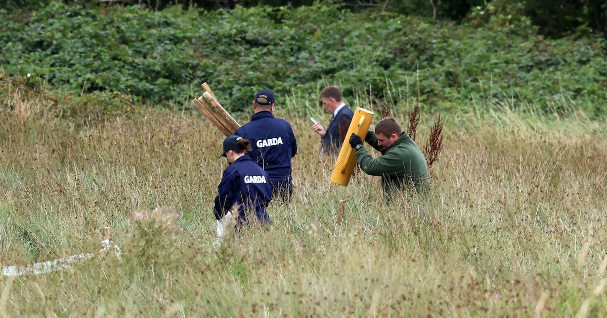 Boy missing assumed dead spent time in care before he was returned to family – The Irish Times