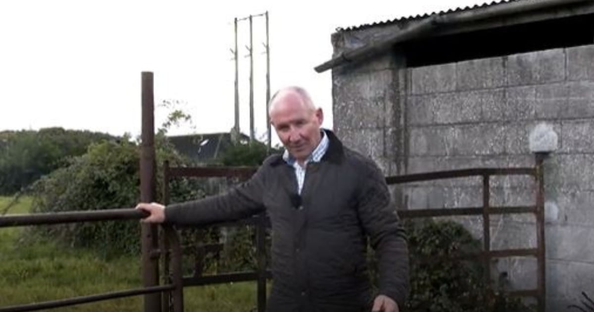 Jim Gavin survives gate-gate as mystery over Sinn Féin’s presidential endorsement deepens – The Irish Times