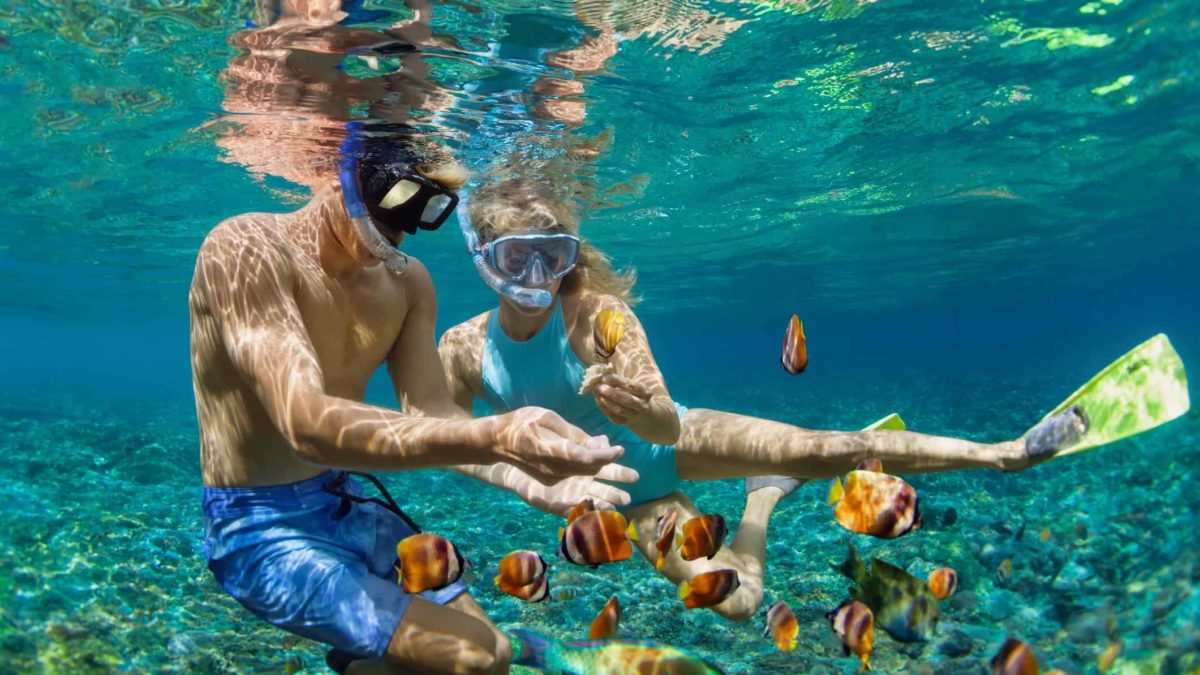 A young couple snorkelling on the Great Barrier Reef while on holidays.