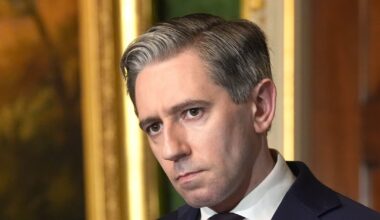 Woman (30s) arrested in connection with threat to kidnap Tánaiste Simon Harris’s children – The Irish Times