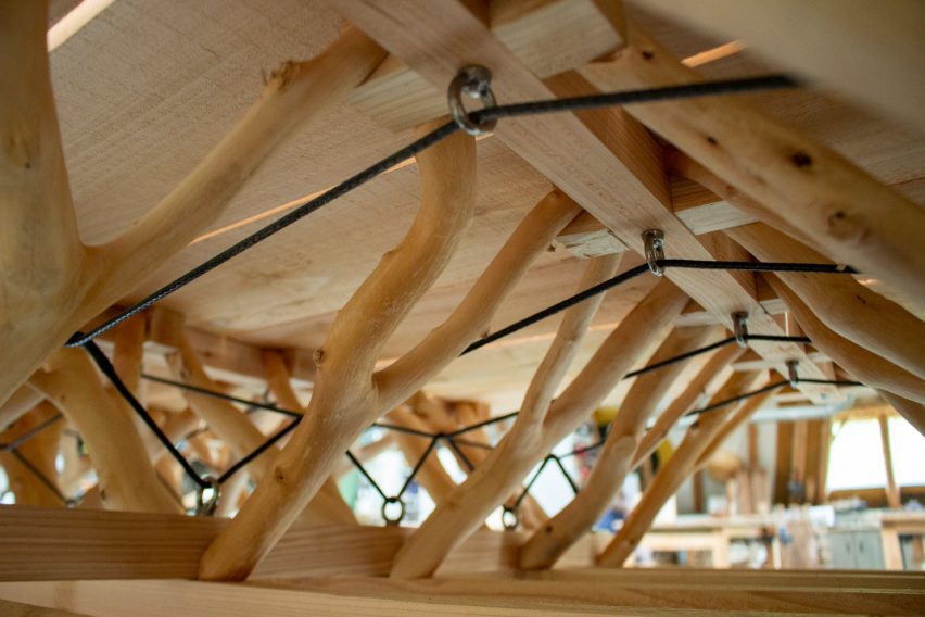 Close-up of the tree forks and tensioning system in A Forest Datum