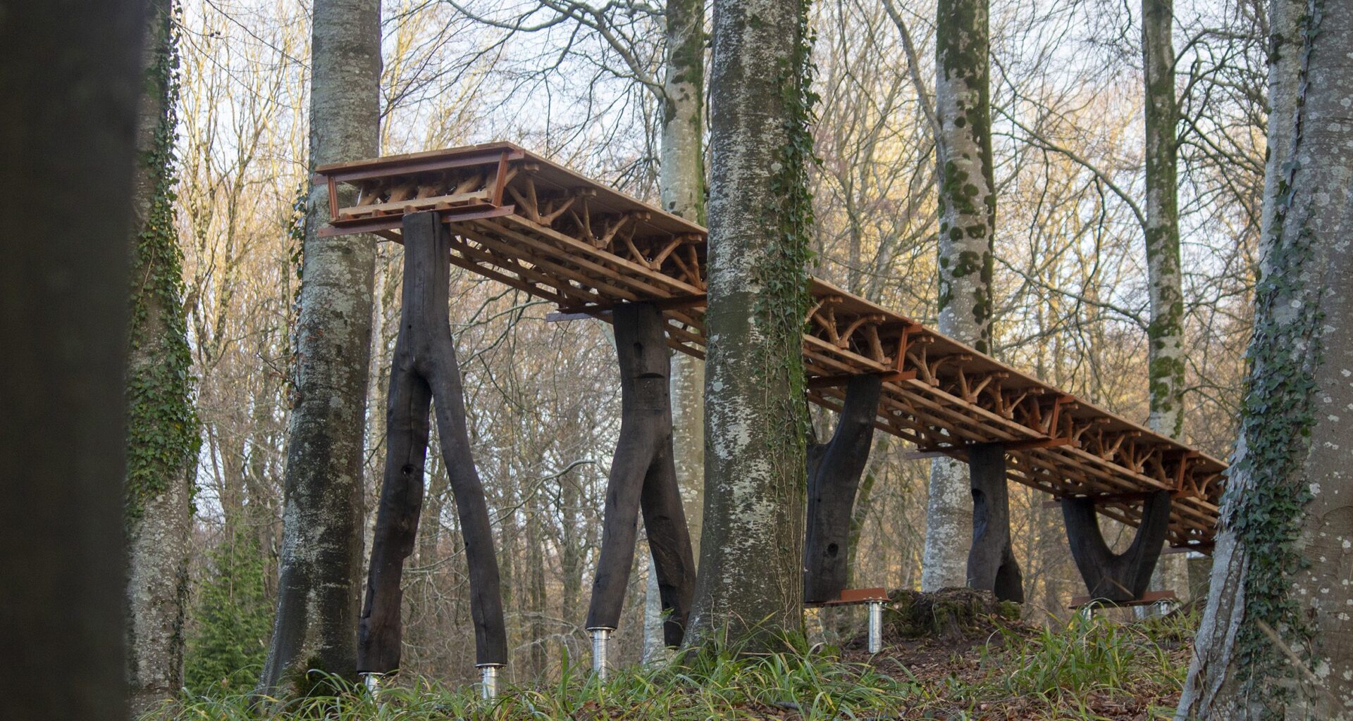 A Forest Datum by Architectural Association Design & Make students