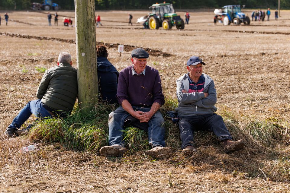 Watching the vintage tractor ploughing on the second day of the National Ploughing Championships in Screggan, Tullamore, Co. Offaly. Pic:Mark Condren