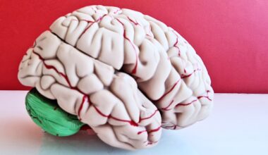 Method figures out where brain cancer might reappear