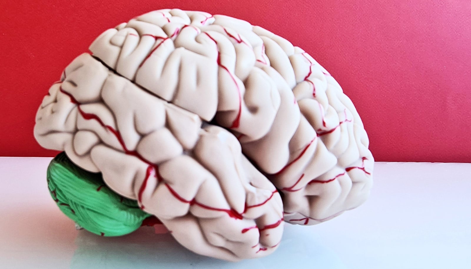 Method figures out where brain cancer might reappear