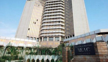 Cameroon's Debt Sale Falls Short, Raising Half of Target in Tight Regional Market