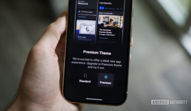 The American Express mobile app with the new Premium Theme dark mode.