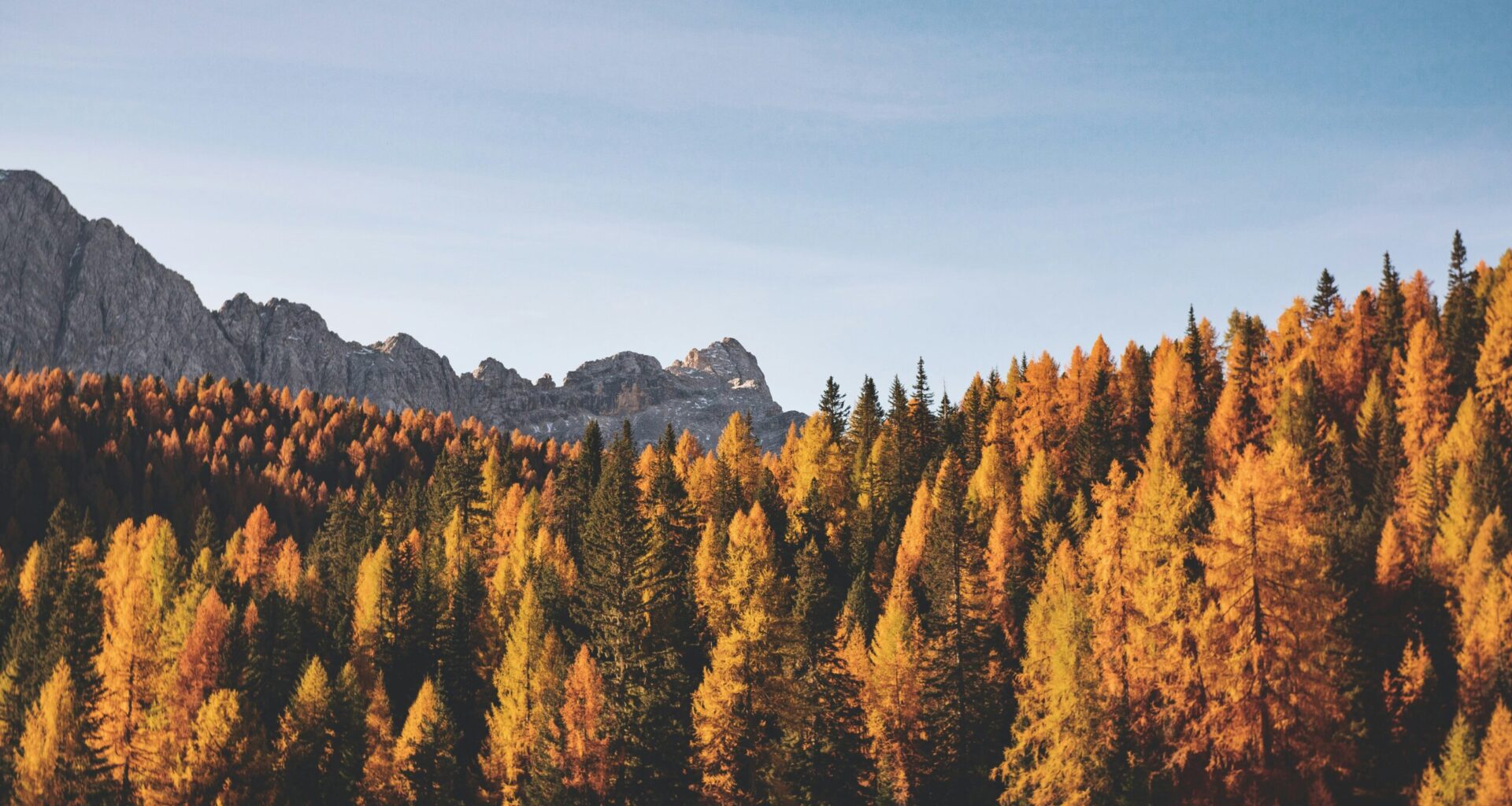 The Sky Today on Monday, September 22: Astronomical autumn begins