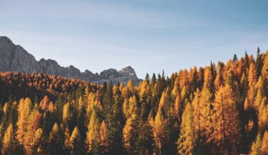 The Sky Today on Monday, September 22: Astronomical autumn begins