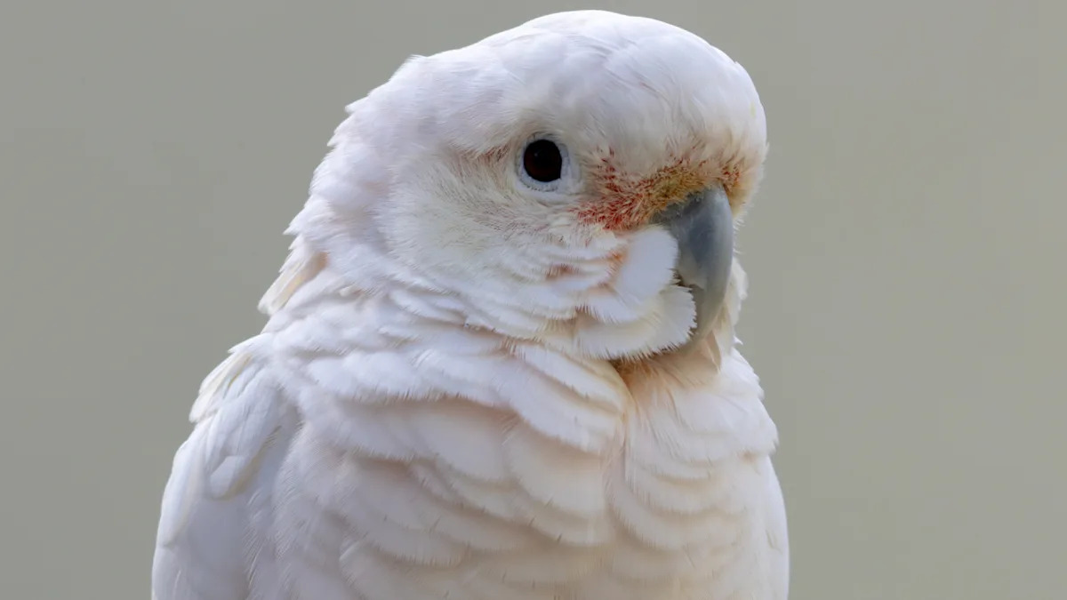 Yahoo lifestyle home