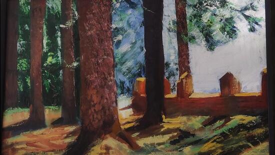 Painting deodar trees.