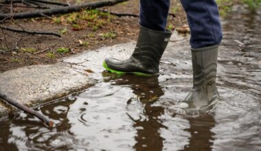 Annual Laois show cancelled due to bad weather
