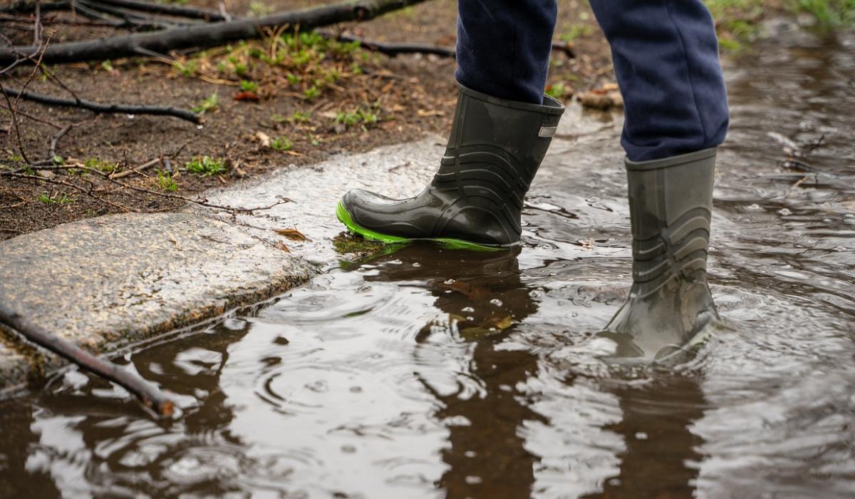 Annual Laois show cancelled due to bad weather