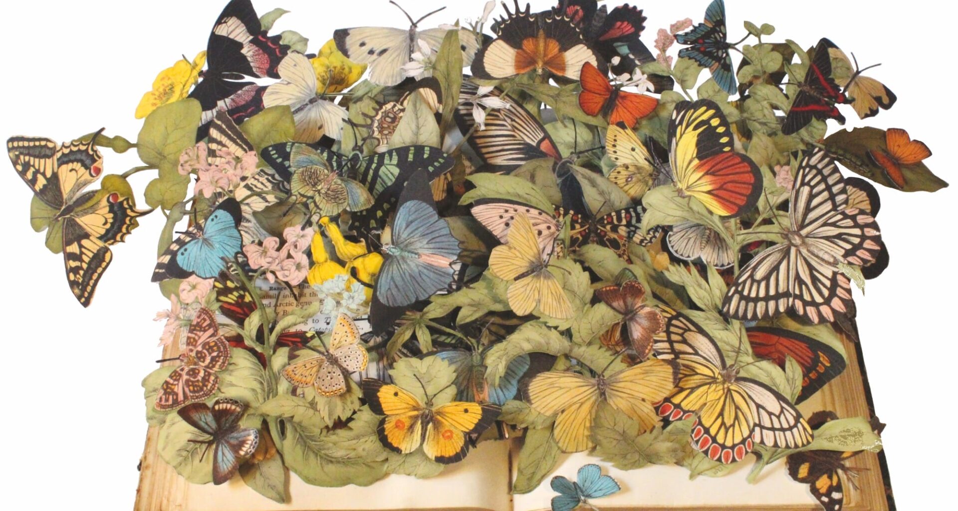 an elaborate sculpture by Kerry Miller resembling a pop-up book featuring numerous butterflies