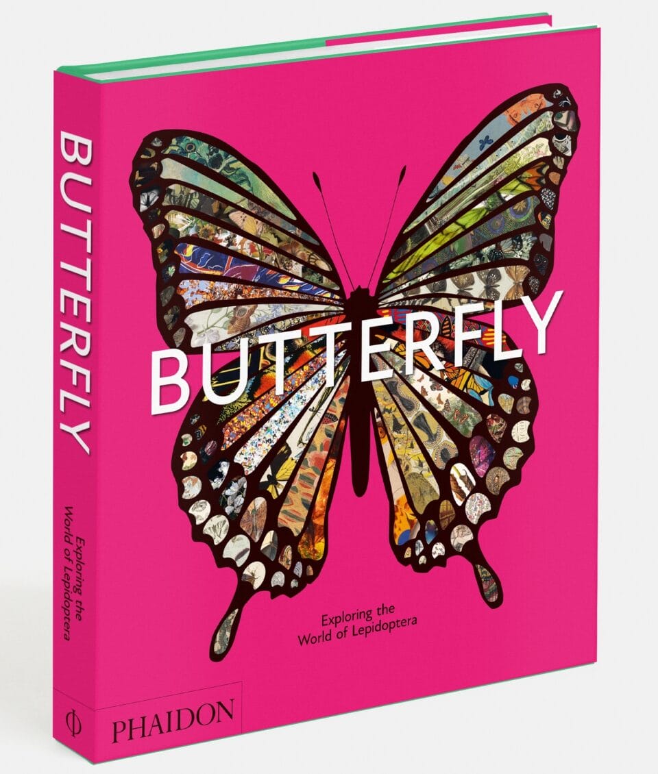 the bright pink cover of the book 'Butterfly: Exploring the World of Lepidoptera,' featuring a large central butterfly