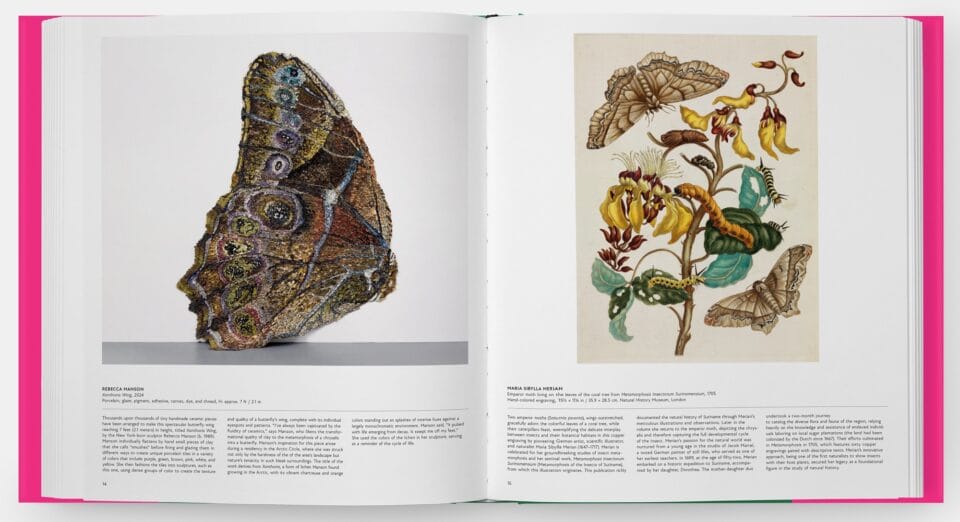 a spread from the book 'Butterfly: Exploring the World of Lepidoptera,' featuring illustrations and artworks of butterflies