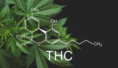 New Study Links THC Consumption to Negative Effects on Female Fertility