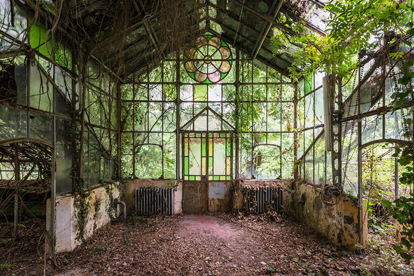 once-captive plants burst free to transform abandoned greenhouses in romain veillon's series