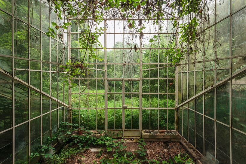 once-captive plants burst free to transform abandoned greenhouses in romain veillon's series