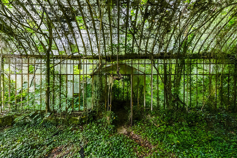 once-captive plants burst free to transform abandoned greenhouses in romain veillon's series