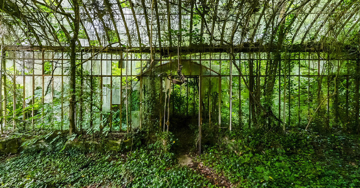 once-captive plants burst free in romain veillon's secret gardens