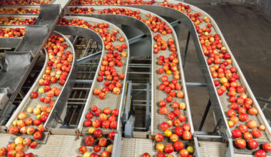 Pasteurizers and Sterilizers Market | Global Market Analysis Report