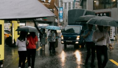 South Korea reinsurance market strengthens with 2025 renewal gains