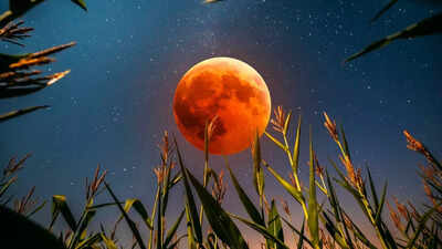 September 2025 full moon: What is the corn moon? All about visibility and timings of the celestial wonder