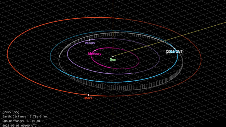 A diagram showing the orbital trajectory of 2025 QV5 compared to the sun, Earth and Mars.