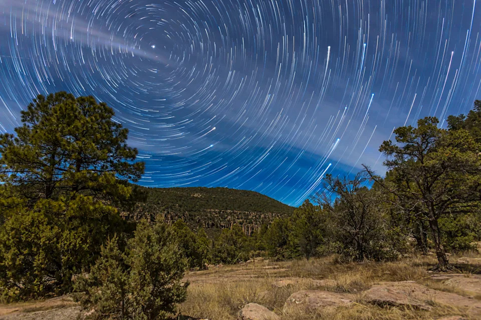 Star trails can be seen circling the north star Polaris in the night sky above a countryside scene with trees in the foreground.