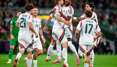 Ireland v Hungary, World Cup qualifier: Nightmare start for Heimir Hallgrimsson’s men as visitors score two early goals - The Irish Independent