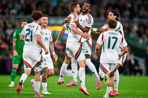 Ireland v Hungary, World Cup qualifier: Nightmare start for Heimir Hallgrimsson’s men as visitors score two early goals - The Irish Independent