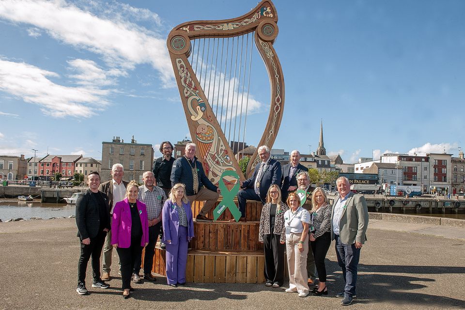 Pictured at the launch of the Shine.ie Green Ribbon at the Fleadh Cheoil Harp on the Wexford Quayfront on Monday were Shaun McGuinness (Shine), Cllr Pip Breen, Cllr Brídin Murphy, Patrick Hipwell (Green Ribbon Campaign), Cllr Leonard Kelly, Cllr Barbara Ann Murphy, Mayor Cllr Garry Laffan, Cathaoirleach Wexford County Council Cllr Joe Sullivan, Aileen Quigley (South East Radio), Imelda Dempsey (Wexford Mental Health Association), Cllr John Fleming, Cllr Jim Codd, Siobhan Cooper (Pieta), Cllr Donal Kenny. Pic: Jim Campbell
