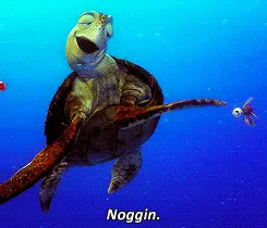 Animated turtle from a movie swims, eyes partly closed, saying "Noggin."