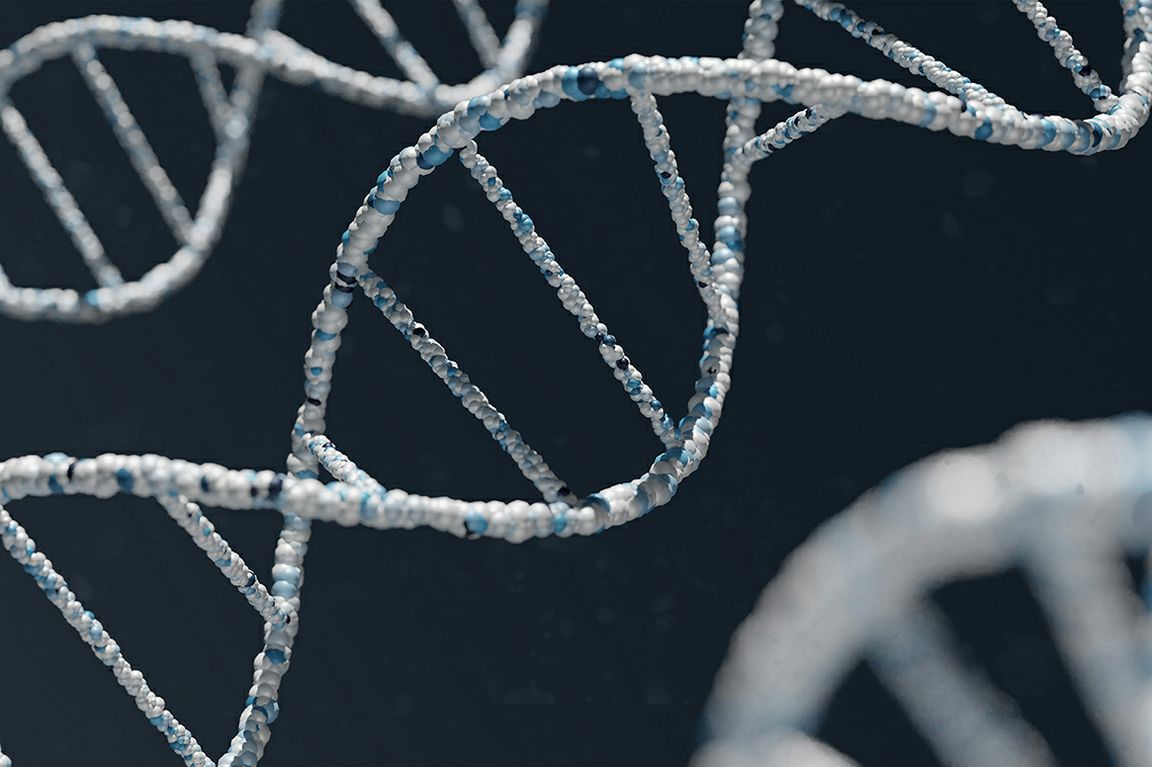 How fast mRNA degrades linked to autoimmune disease risk