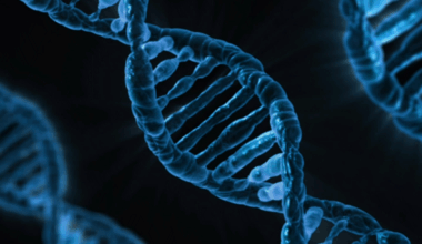 Saol Therapeutics hit with CRL for rare genetic disease