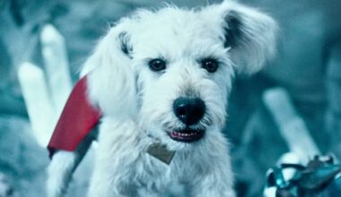 Superman: New Krypto DCU Short Movie Sets Streaming Release Date - Comic Book Movies and Superhero Movie News