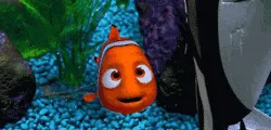 Animated clownfish swimming among plants and rocks in an aquarium, looking curiously ahead
