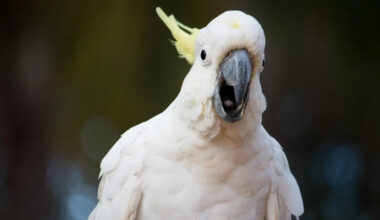 Yahoo lifestyle home