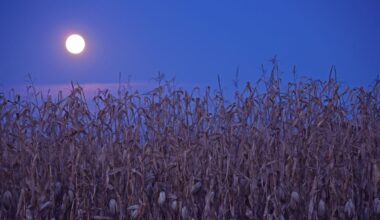 This September Full Moon Isn’t the Harvest Moon—Here’s Why