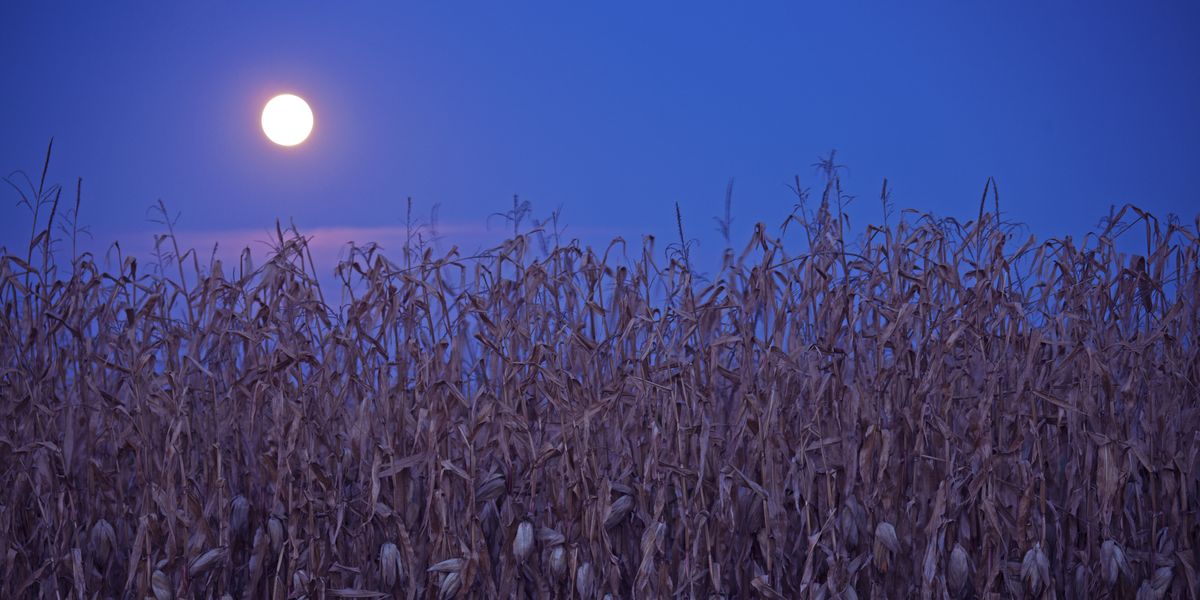 This September Full Moon Isn’t the Harvest Moon—Here’s Why