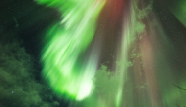 The green lights of an aurora dramatically explode outward against the backdrop of the night sky peppered with fluffy white clouds and pinprick stars. A hint of red is also visible in the center of the light. Pine trees cast in shadow are seen below.