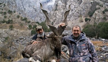 Pakistan’s Markhor trophy hunt breaks global record