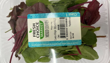 FSAI orders recall of another mixed leaf product over fears of Listeria monocytogenes - The Journal
