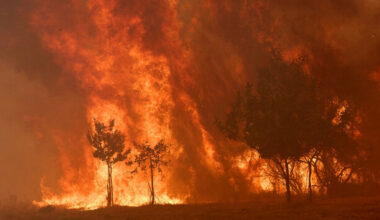 Deadly wildfires in Spain and Portugal made 40 times more likely by climate change - The Journal