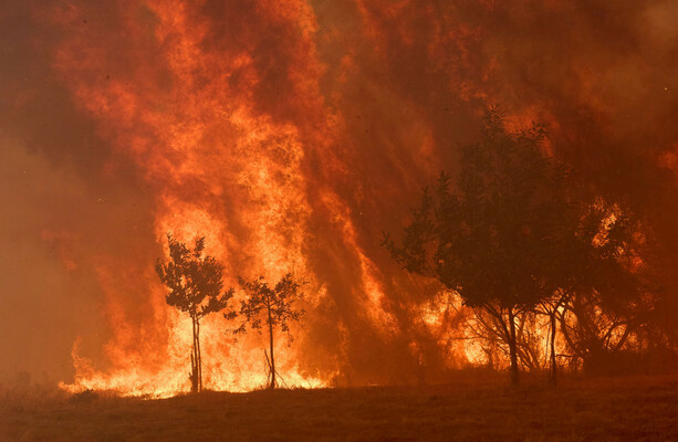 Deadly wildfires in Spain and Portugal made 40 times more likely by climate change - The Journal